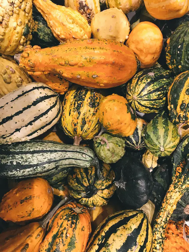 The plural of squash is squashes or squash